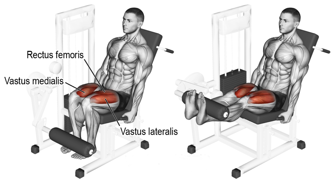 Leg Extensions “Bad” for Your Knees? - weighteasyloss.com