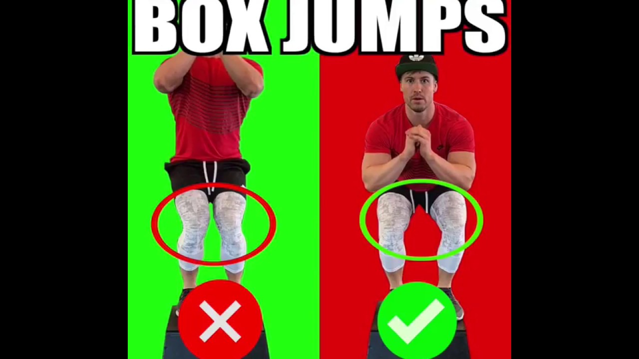 How to Box Jumps Proper Form Video & Guide