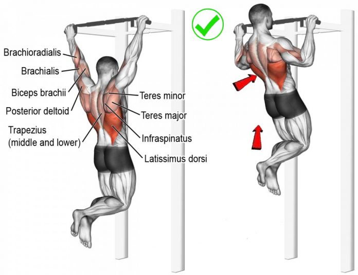 How to Do Pull-ups: Tips, Routine - weighteasyloss.com