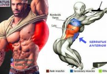 How to Do pullover serratus