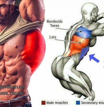 How to Do Serratus Pullover, Technique, Benefits, Variations How to Do pullover serratus