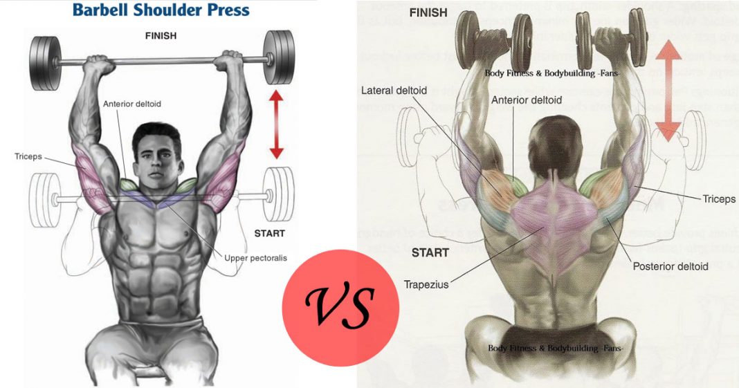 Shoulder Day & Dumbbell Press | Videos & Guides - weighteasyloss.com