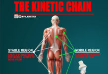 REGIONAL INTERDEPENDENCE | KINETIC CHAIN REGIONAL INTERDEPENDENCE | KINETIC CHAIN