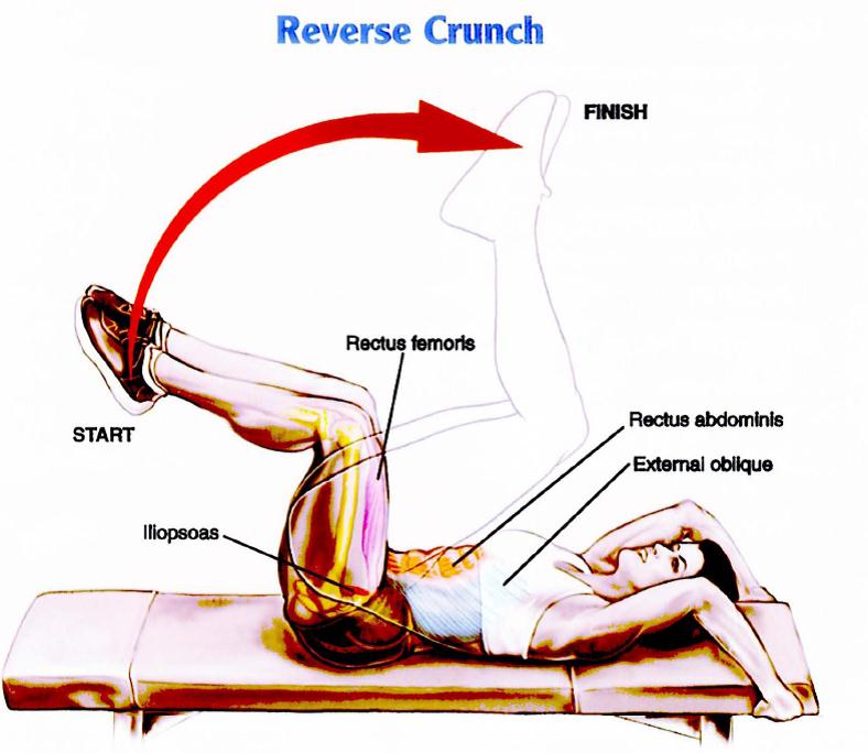  Reverse crunches