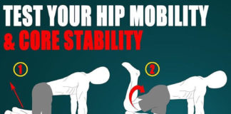 Test Your Hip Mobility and Core Stability Test Your Hip Mobility and Core Stability