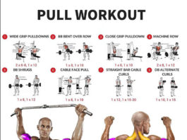 PULL WORKOUT EXERCISES | Guide PULL WORKOUT EXERCISES