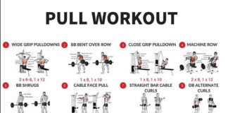  PULL WORKOUT EXERCISES