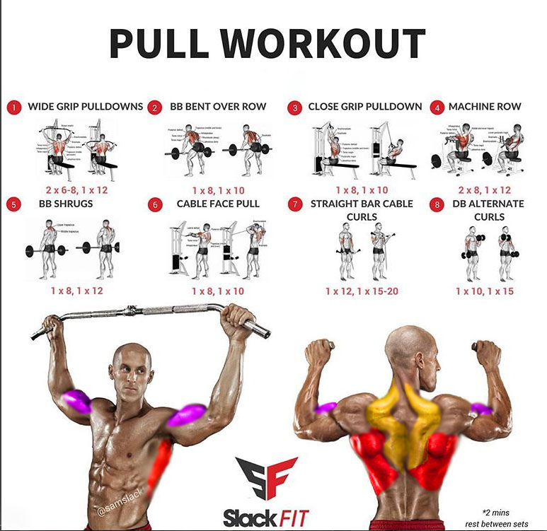  PULL WORKOUT EXERCISES