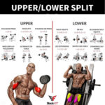 💥 Upper/Lower Workout💥