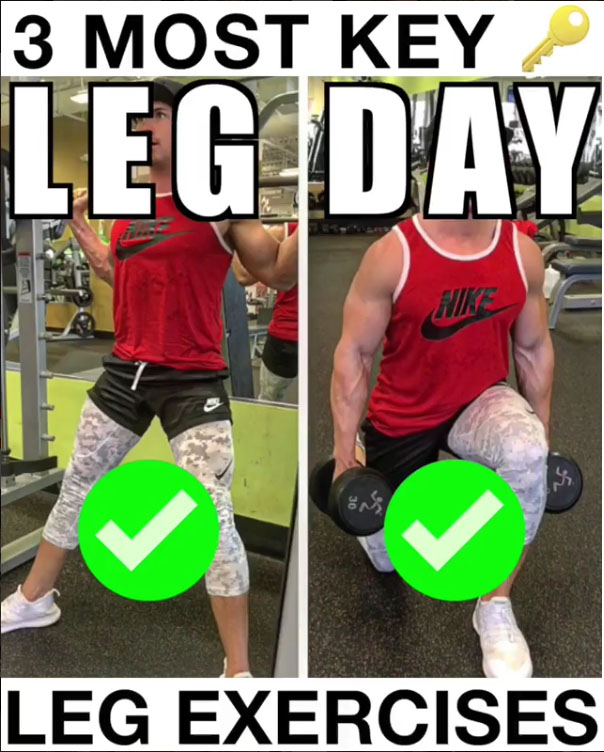 🚨3 Key Exercises For Leg Day🚨