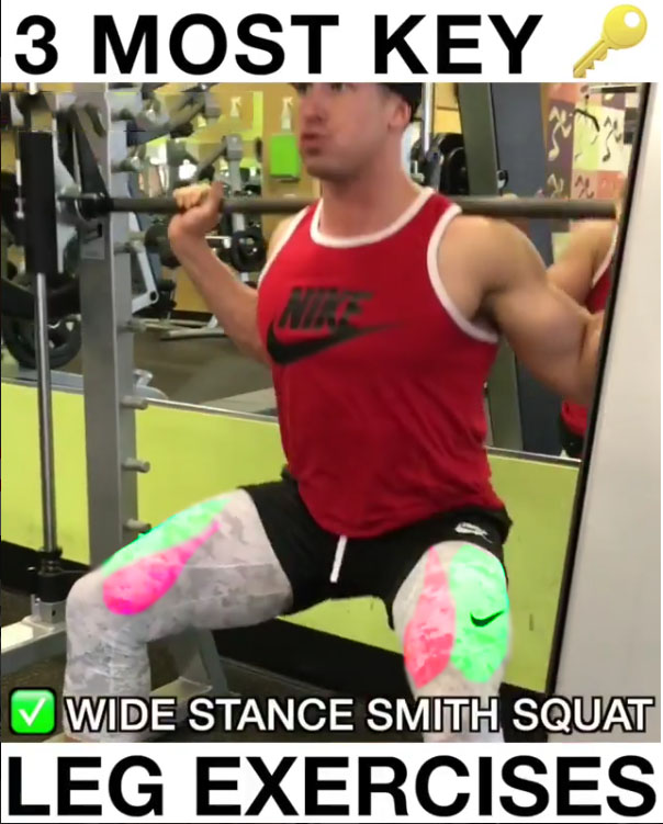 ✅Wide Stance Smith Squats
