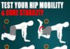 hip mobility and core stability