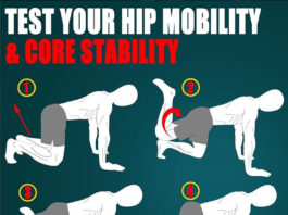 Hip Mobility and Core Stability hip mobility and core stability