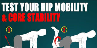 hip mobility and core stability