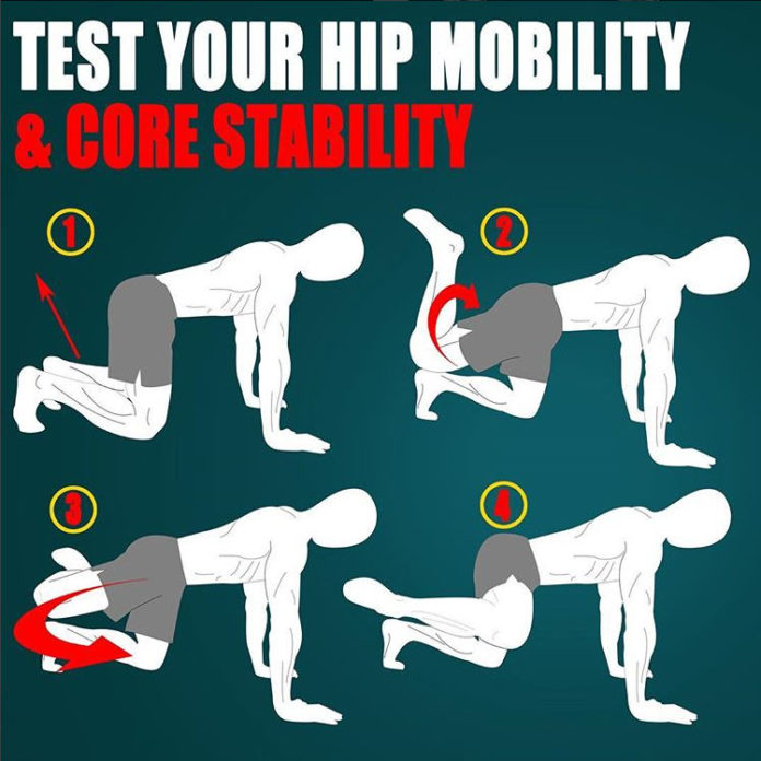 Hip Mobility and Core Stability