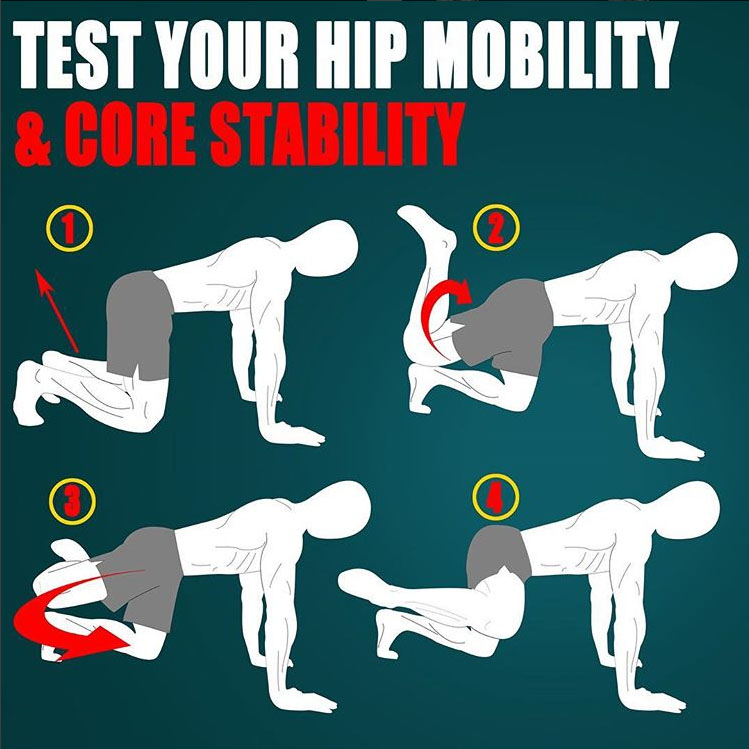 hip mobility and core stability