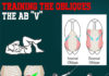 TRAINING OBLIQUES AND THE AB “V”
