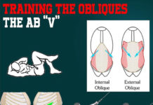 TRAINING OBLIQUES AND THE AB “V”