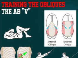 TRAINING OBLIQUES AND THE AB “V”