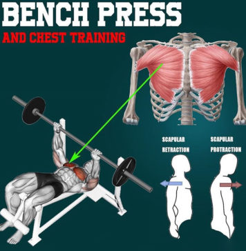 Everything on Benchpress Everything on Benchpress