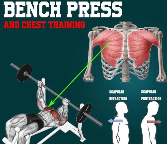 Everything on Benchpress