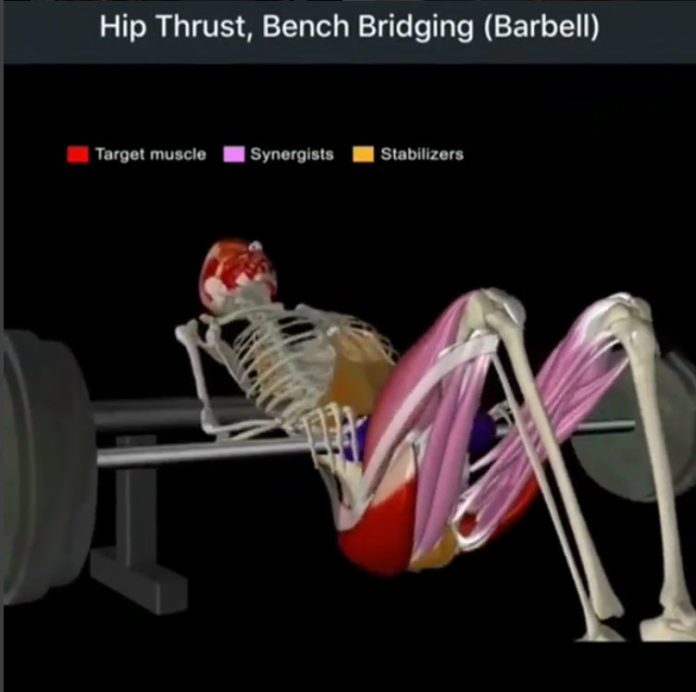 How to Hip Thrust, Bench Bridging (Barbell-Dumbbell) | Video