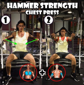 Hammer Strength Chest Press Machine | Guide