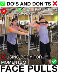 Face Pulls Proper Form | Video & Guide