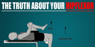 TRUTH ABOUT YOUR HIPFLEXOR