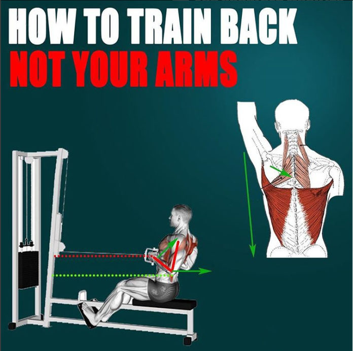 HOW TO TRAIN YOUR BACK NOT YOUR ARMS