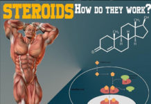 STEROIDS, HOW DO THEY WORK