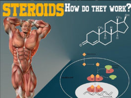 STEROIDS, HOW DO THEY WORK? STEROIDS, HOW DO THEY WORK