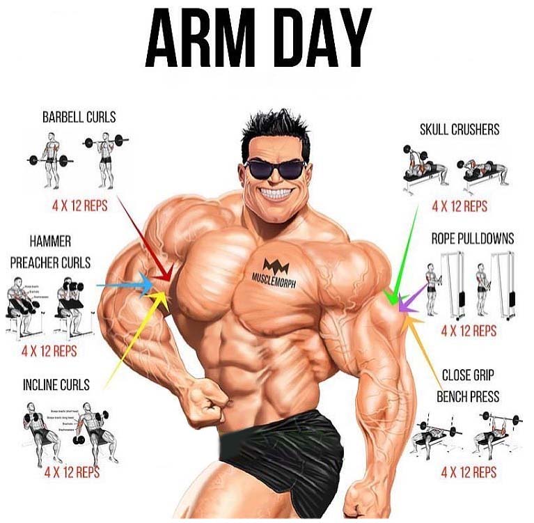 Arm day exercises