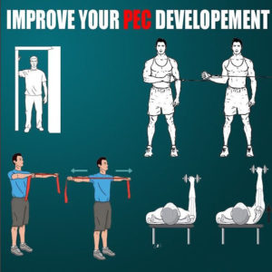 FIX YOUR PEC DEVELOPMENT | GUIDE