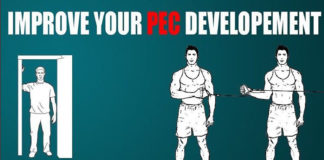 FIX YOUR PEC DEVELOPMENT | GUIDE