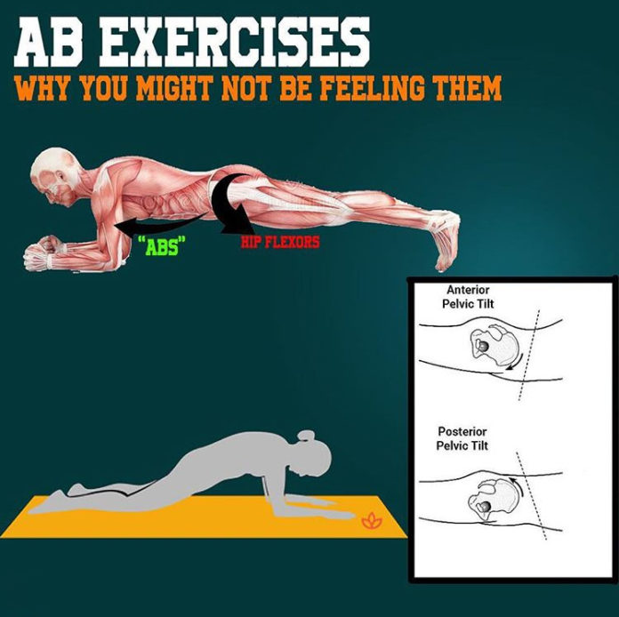 Ab Exercises Plank | Kinetics