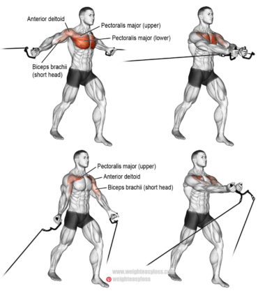 FULL UPPER CHEST & SHOULDER & BACK | VIDEO & GUIDE