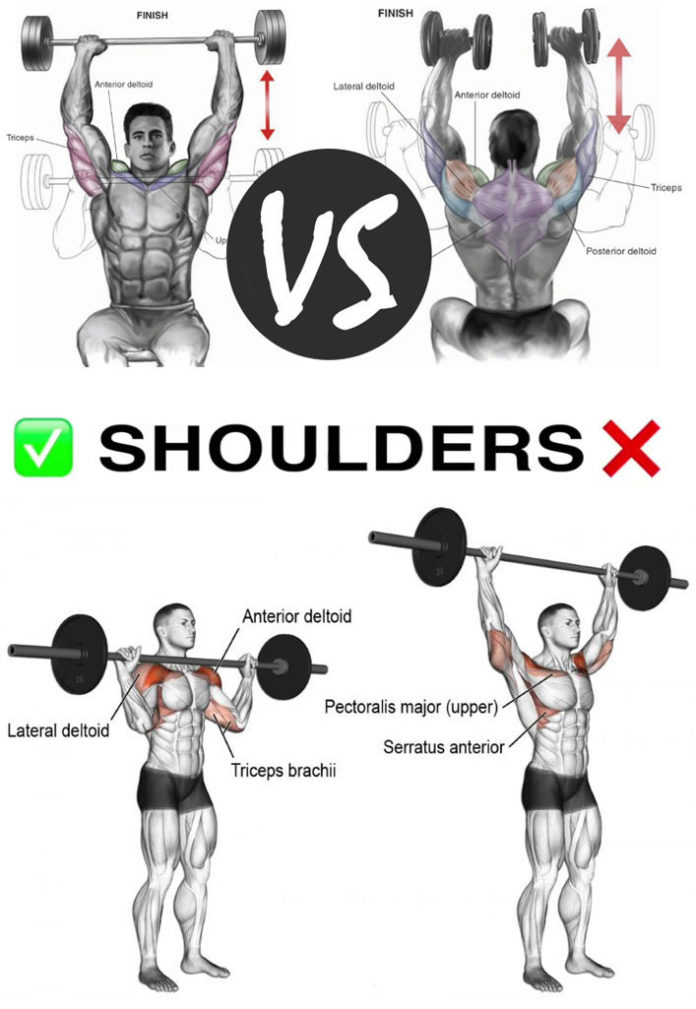 FULL UPPER CHEST & SHOULDER & BACK | VIDEO & GUIDE