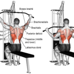 Wide grip lat pulldowns