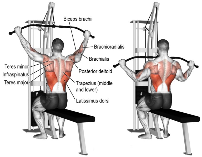 How to Upper/Lower Workout | Video & Guide