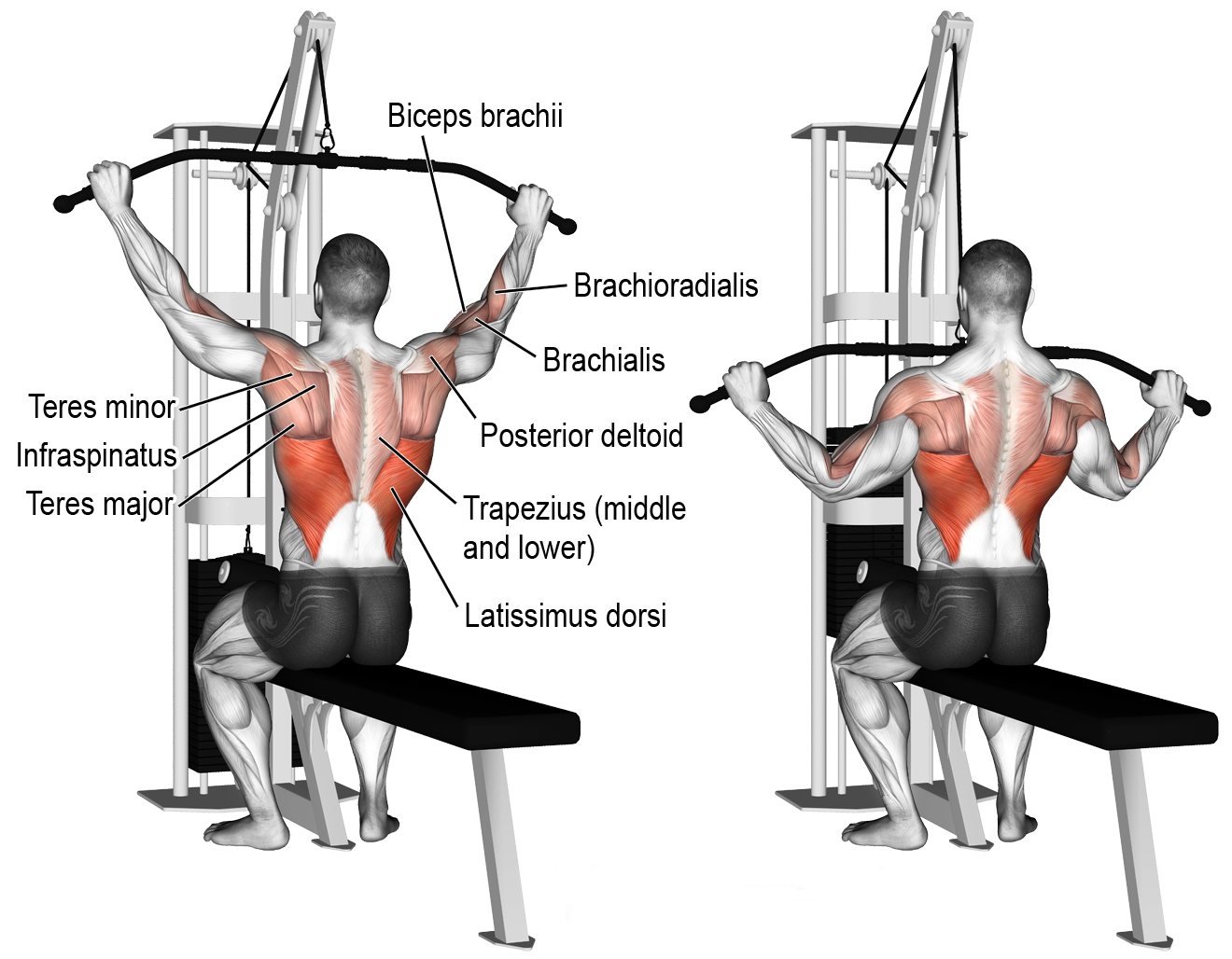 Wide grip lat pulldowns