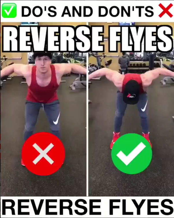  Reverse Flyes