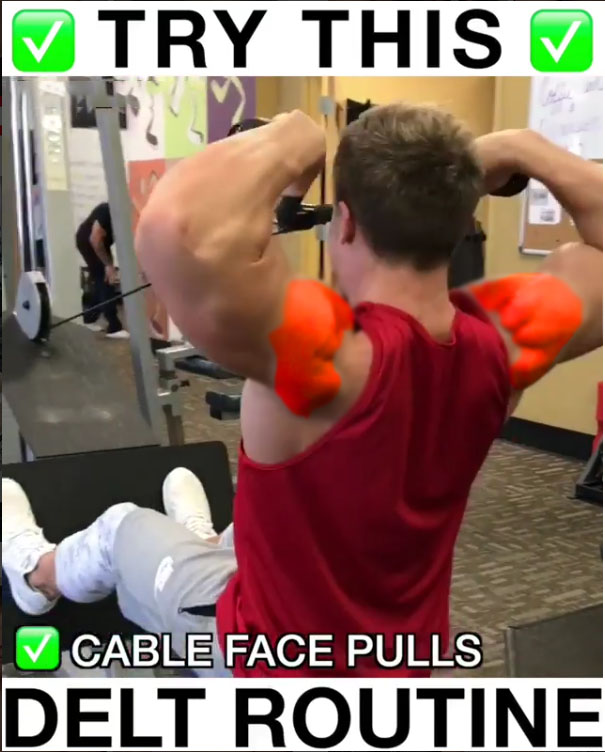 🔥Seated Cable Machine Face-Pulls