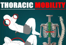 THORACIC MOBILITY | GUIDE