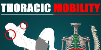 THORACIC MOBILITY | GUIDE
