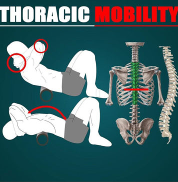 THORACIC MOBILITY | GUIDE