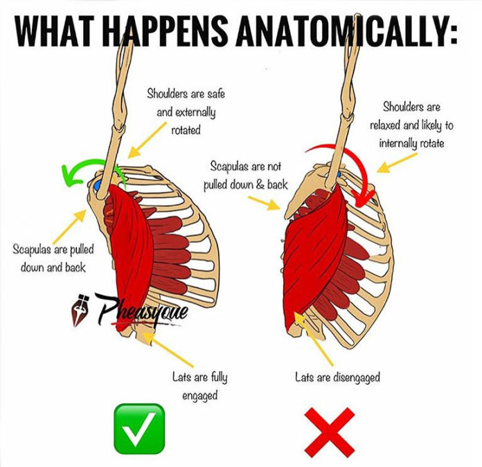 PULL UPS & SHOULDER PAIN Guide