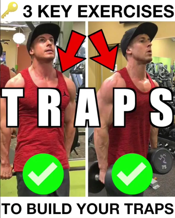 3 Key Exercises For Traps