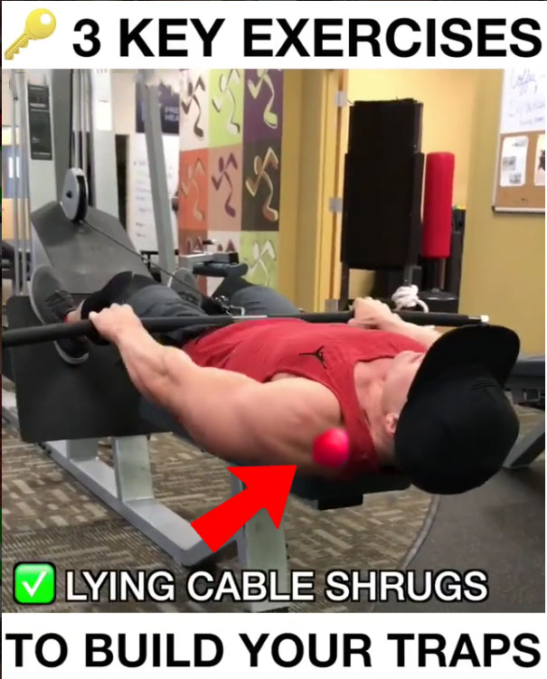 Lying Cable Shrugs