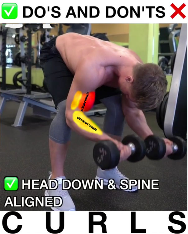 Technique of execution Isolation Dumbbell Curls